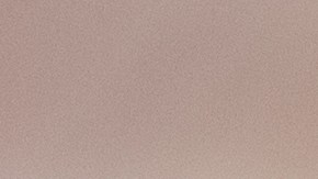 Cheque de estímulo estatal