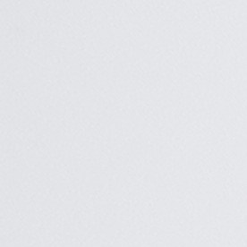 Cheque de estímulo de $1,000 dólares