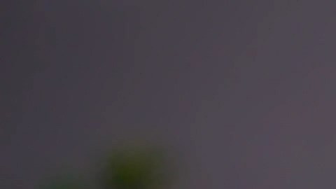 Discapacidad del Seguro Social