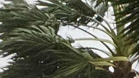 Huracán Beryl