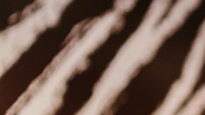 Mujer sostiene su tarjeta de crédito e ingresa los detalles para comprar algo en línea.