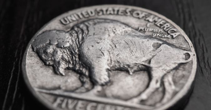 Moneda 5 cinco centavos búfalo de cerca