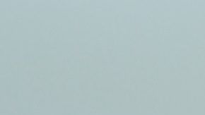 Moneda de 5 centavos de dólar búfalo de Estados Unidos.