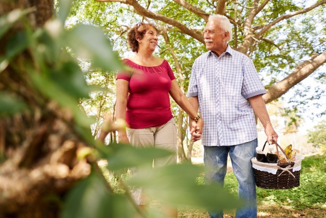 Ancianos jubilados activos tomados de la mano y caminando en el parque con una cesta de picnic.