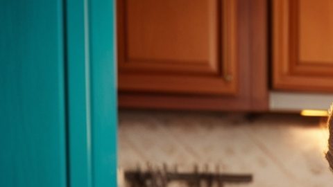 Pareja mayor latina revisa sus cuentas y analiza si es conveniente pagar la membresía de Costco.