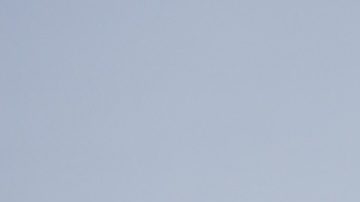 Moneda «Jefferson Nickel» (5 centavos) entre los dedos.