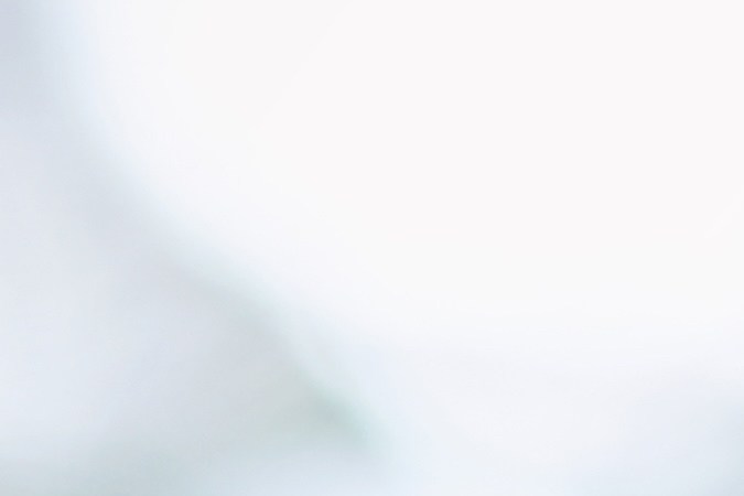 Calendario del Seguro Social 2025