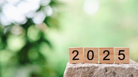 Calendario del Seguro Social 2025