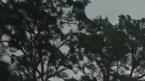 Imagen de víctimas tras el paso de un huracán.