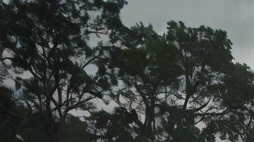 Imagen de víctimas tras el paso de un huracán.