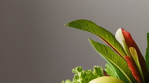 Imagen de cupones de alimentos al centro, rodeados de alimentos frescos y saludables.
