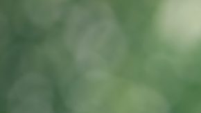 Hombre en silla de ruedas y monedas sobre fondo verde natural, ahorrar dinero para prepararse en el futuro y concepto de persona discapacitada.