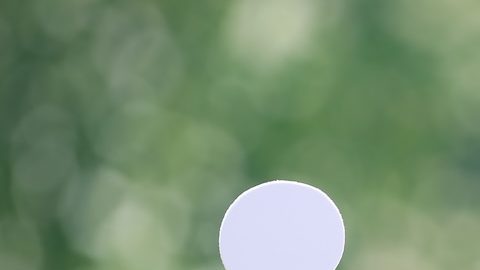 Hombre en silla de ruedas y monedas sobre fondo verde natural, ahorrar dinero para prepararse en el futuro y concepto de persona discapacitada.