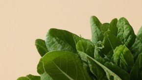 Imagen realista de cupones de alimentos rodeados por comida saludable.