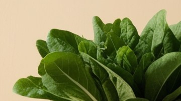 Imagen realista de cupones de alimentos rodeados por comida saludable.