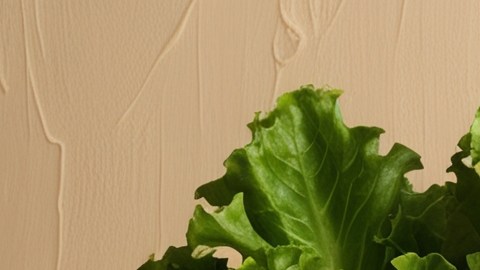 Cupones para comida rodeados de alimentos saludables, cupones snap.