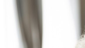 Un marido y una mujer maduros y angustiados de 60 años se sientan a la resolver su medicare.