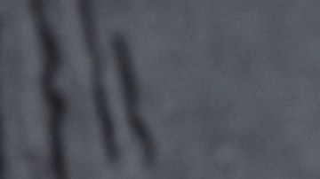 Anverso y reverso de la moneda de 1 dólar de Sacagawea.