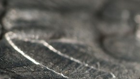 Grupo de monedas de cuarto de dólar.