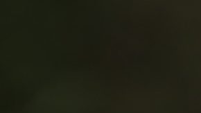 Antigua moneda de plata de medio dólar en mano.