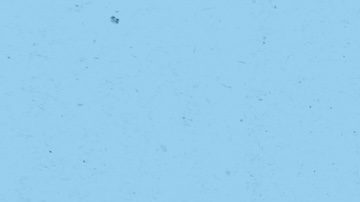 Foto creativa, collage 3D, obra de arte, postal, póster, imagen de dos brazos humanos sosteniendo dinero, pago, compra, aislado sobre fondo de pintura.