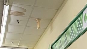Suministros de limpieza de interiores de tiendas minoristas Dollar Tree.