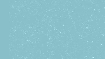 Si bien algunos estados no tienen impuestos sobre los ingresos, pueden tener tasas impositivas altas en otras áreas, como el impuesto sobre las ventas.