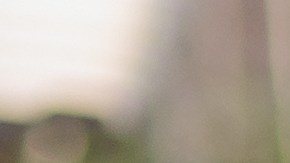 Salario mínimo en Florida