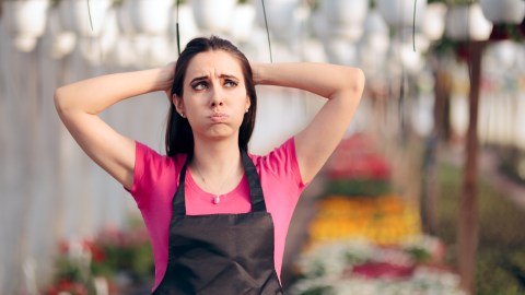 Salario mínimo en Florida