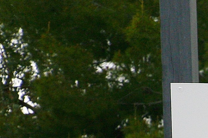 Seguro Social en EEUU