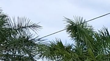 Los concesionarios de autos nuevos son operaciones totalmente independientes de los fabricantes, por lo que toman sus propias decisiones sobre los precios que ofrecen.