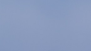 Walmart en Estados Unidos