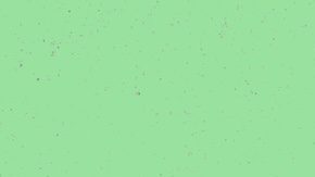 Plantilla de ilustración de collage de fotografías creativas de una joven trabajadora que tira de una flecha para obtener más ingresos, fondo de dibujo aislado.