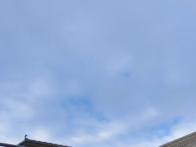 Vista de la calle de una tienda de comestibles Safeway con personas acercándose a la entrada para comprar alimentos.