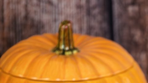 Calabazas decorativas rellenas de una variedad de dulces de chocolate para Halloween elaborados por Mars, Incorporated y Hershey Company.