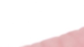 Primer plano de la moneda de un dólar de Susan B. Anthony aislada en blanco.