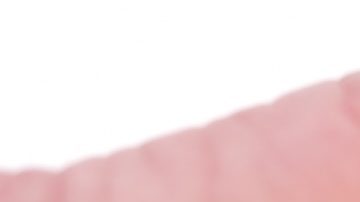 Primer plano de la moneda de un dólar de Susan B. Anthony aislada en blanco.