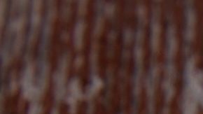 Anverso y reverso de la moneda de 50 centavos 'Walking Liberty'.