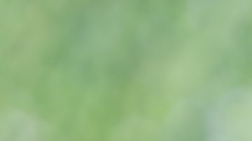Mujer embarazada con alcancía y monedas sobre fondo verde natural, ahorre dinero para prepararse en el futuro y el concepto de bebé recién nacido.