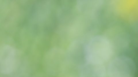 Mujer embarazada con alcancía y monedas sobre fondo verde natural, ahorre dinero para prepararse en el futuro y el concepto de bebé recién nacido.