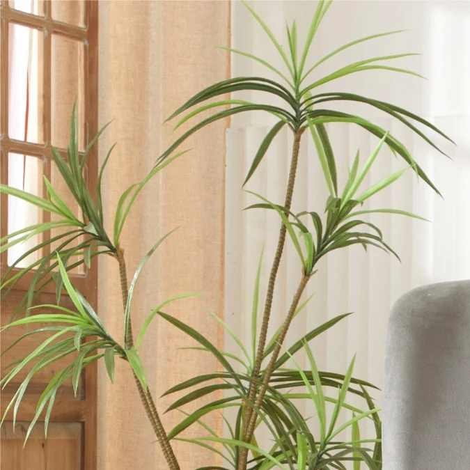 Manta de chenilla Drew Barrymore.