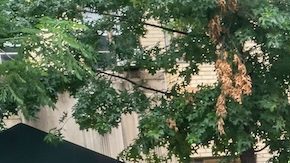 Conductor de UPS prepara entregas en Chelsea en Nueva York.