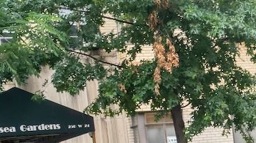 Conductor de UPS prepara entregas en Chelsea en Nueva York.