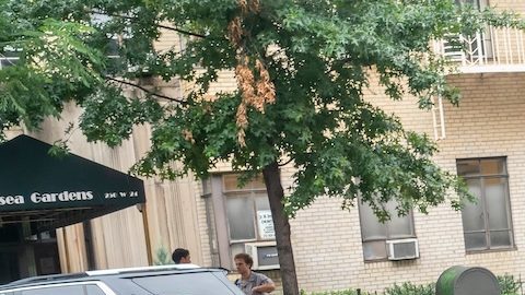 Conductor de UPS prepara entregas en Chelsea en Nueva York.