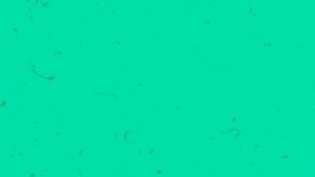 Imagen de collage compuesta de dos jóvenes amigos adictos a las compras que llevan enormes tarjetas de plástico para realizar transacciones sin efectivo aisladas sobre fondo verde.