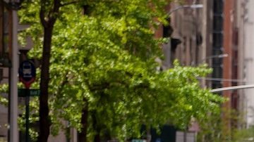Un oficial de policía de Nueva York ayuda a un trabajador de Amazon a cruzar Madison Avenue en Nueva York durante un desfile.