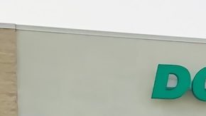 Un carrito lleno de productos frente a una tienda de descuentos Dollar Tree.