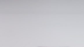 Persona que sostiene un teléfono móvil con el logotipo de la empresa minorista estadounidense Dollar General Corporation en la pantalla frente a una página web.