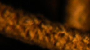 Moneda de 5 centavos búfalo sobre un fondo de madera enmarcado con cuero auténtico.