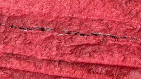 Vista posterior de una antigua moneda de medio dólar de plata de Franklin sobre un fondo rojo.